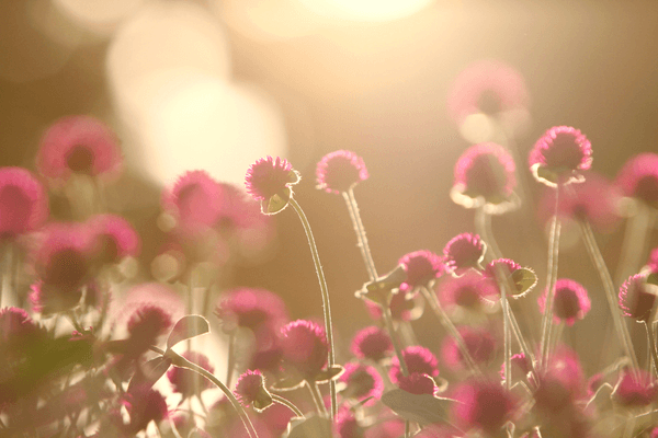 Your Morning Is Sending Signals: Simple Ways to Support Your Daily Rhythm