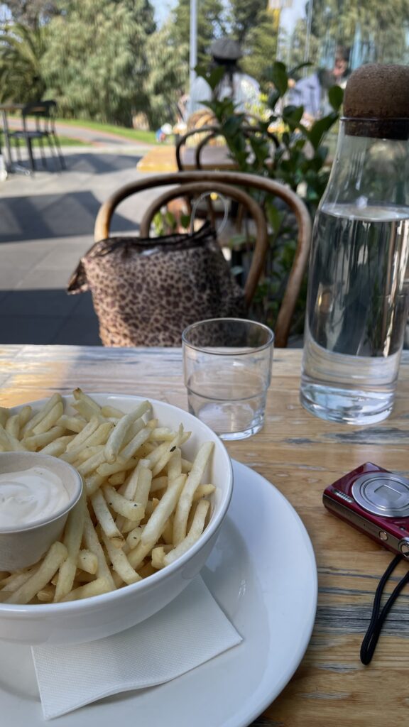 fried on white bowl and plate with mayonnaise on wooden table