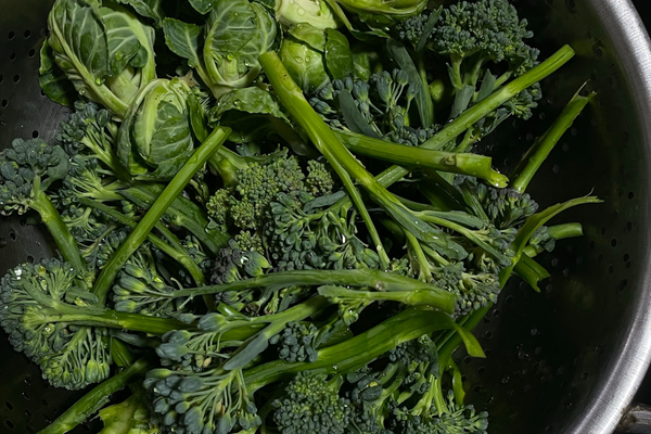 Cruciferous vegetables including broccoli and greens on a plate